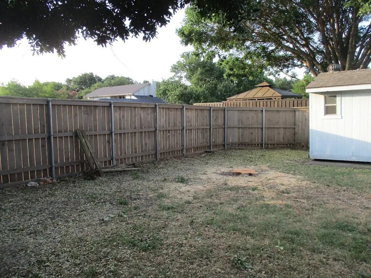Cleared yard after professional tree removal in Cobb